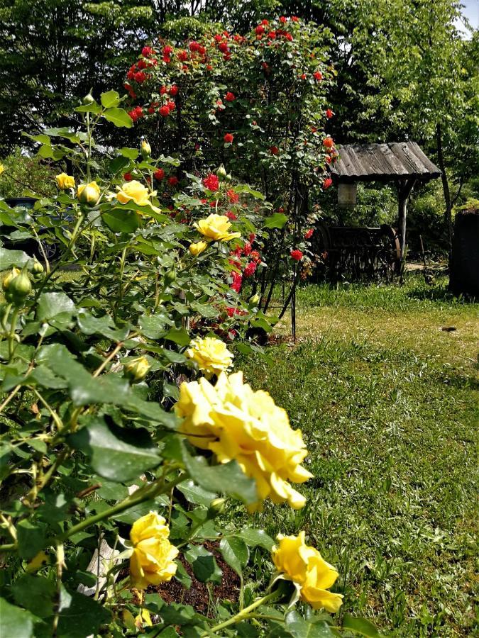 La Valle Nervesa della Battaglia Екстер'єр фото