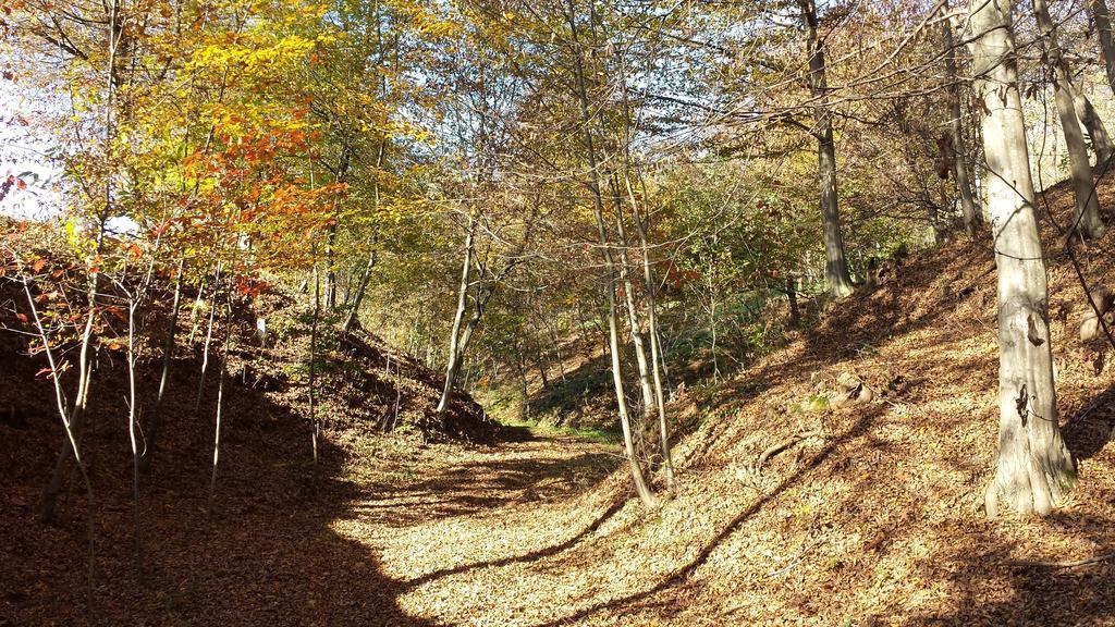 La Valle Nervesa della Battaglia Екстер'єр фото
